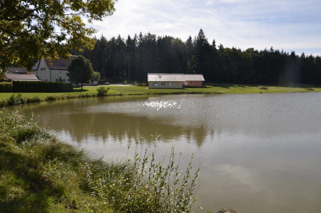 Pension Zum Grunen Wald Hotel Feuchtwangen Exterior foto